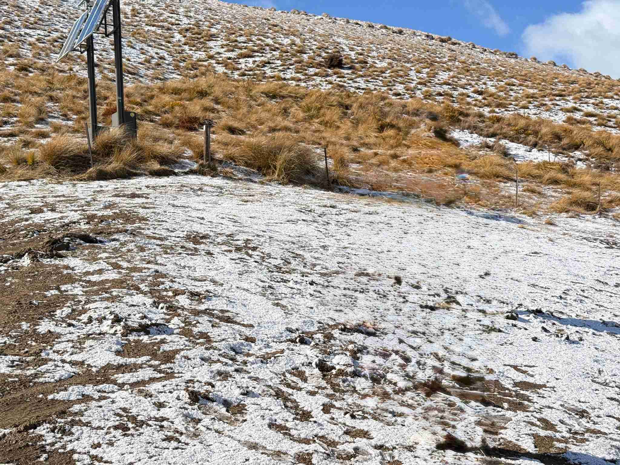 Pisa Conservation Area, Cromwell NZ — click to watch the full snow trail video on YouTube