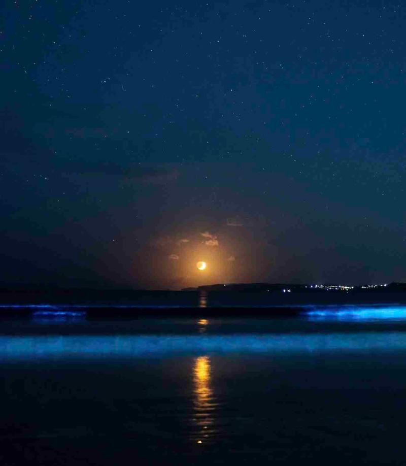 Auckland Wakes Up to a Stunning Moonrise and Glowing Waves at Orewa Beach