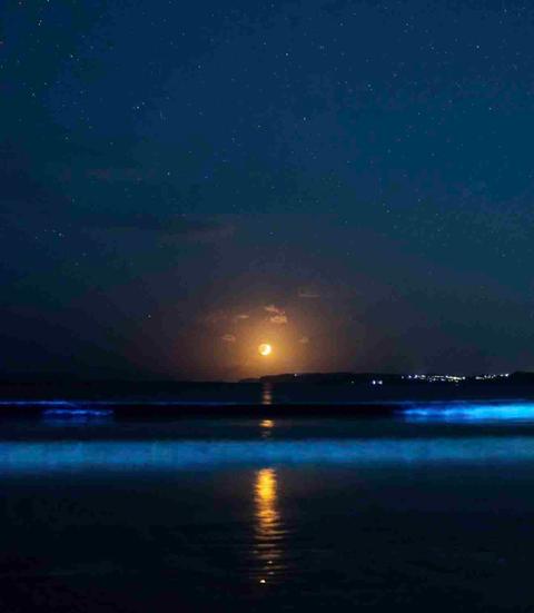 Auckland Wakes Up to a Stunning Moonrise and Glowing Waves at Orewa Beach
