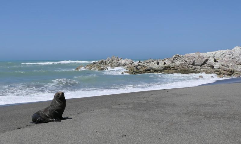 July 23 2026 - Consultation opens on East Coast Beach Vehicle Bylaw review
