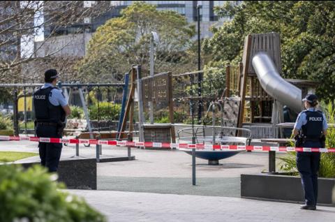 Auckland Spent Years Making Myers Park Safer. Now a Child Is in Hospital After an Alleged Attack.