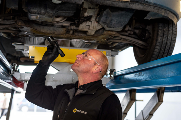 NZ WoF Changes Start on 1 November: What Drivers Need to Know